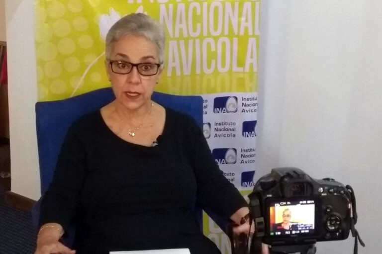 El pollo es uno de los mejores alimentos: Instituto Nacional Avícola